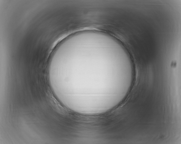 X0000113951308200909250953