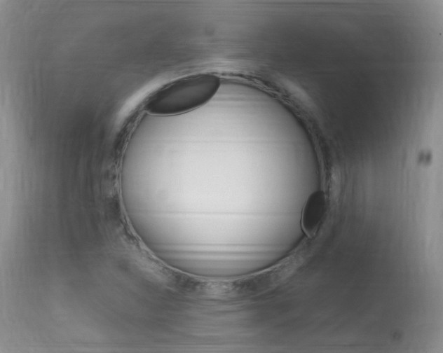X0000113951310200909250953