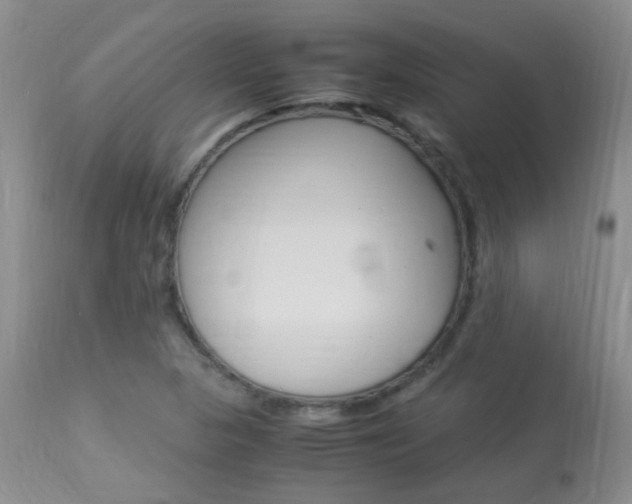 X0000113951313200909250953