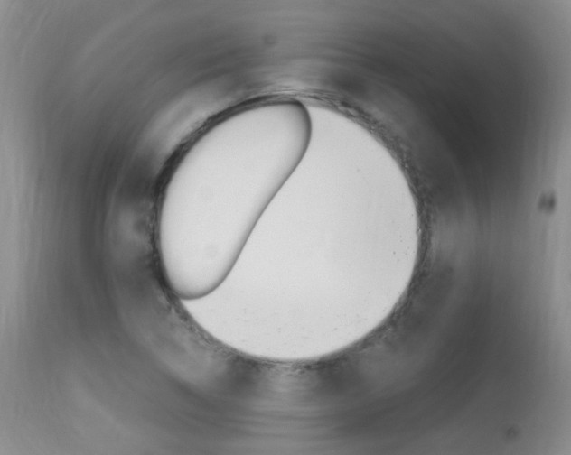 X0000113951314200909250953
