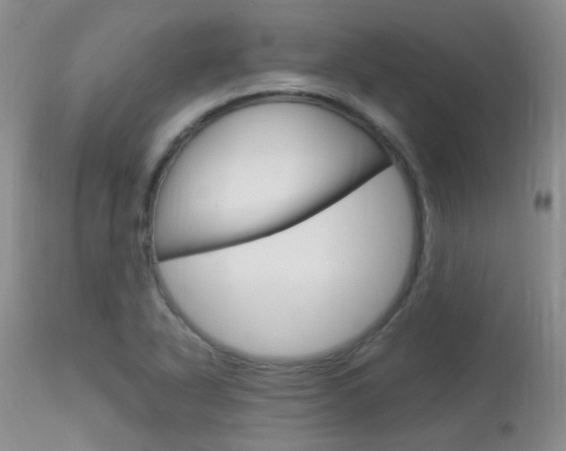 X0000113951318200909250953