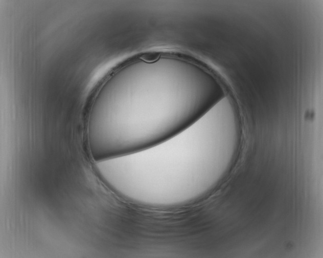 X0000113951319200909250953