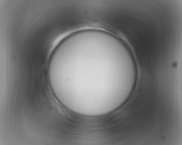 X0000113951320200909250953