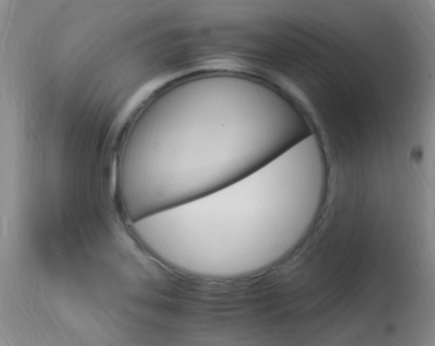 X0000113951323200909250953