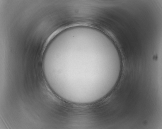 X0000113951324200909250953