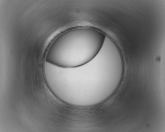 X0000113951326200909250953