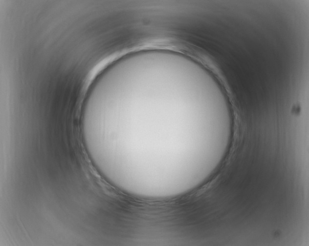 X0000113951328200909250954
