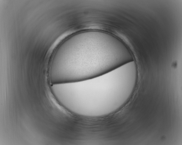 X0000113951331200909250954