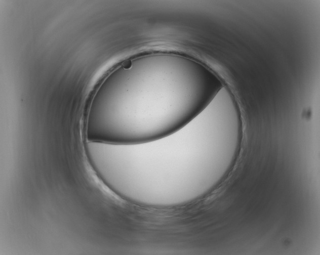 X0000113951334200909250954