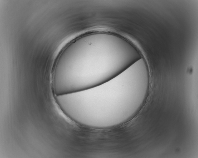 X0000113951335200909250954