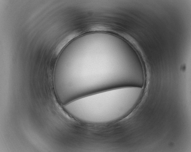 X0000113951337200909250954