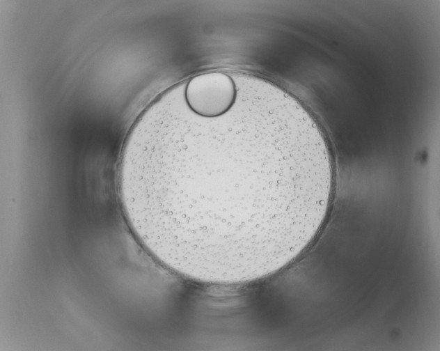 X0000113951338200909250954