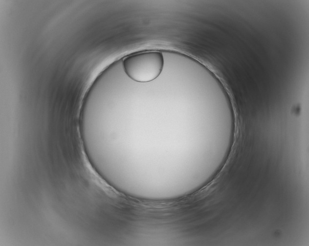 X0000113951342200909250954