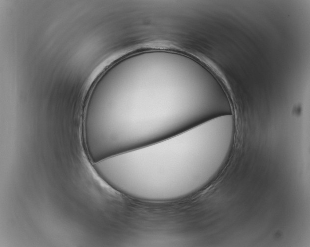 X0000113951343200909250954