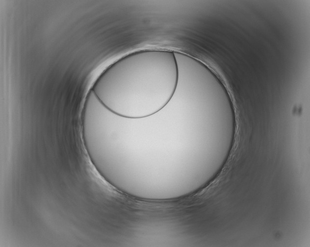 X0000113951344200909250954
