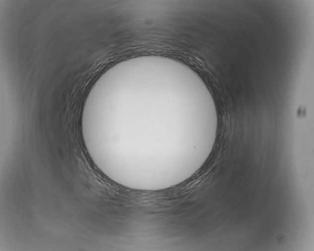 X0000113951345200909250953