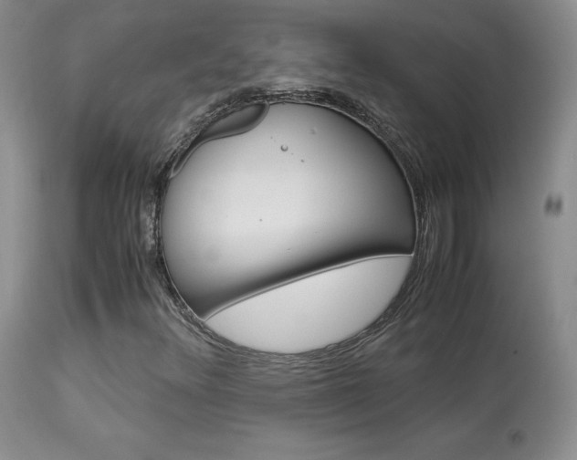 X0000113951348200909250953