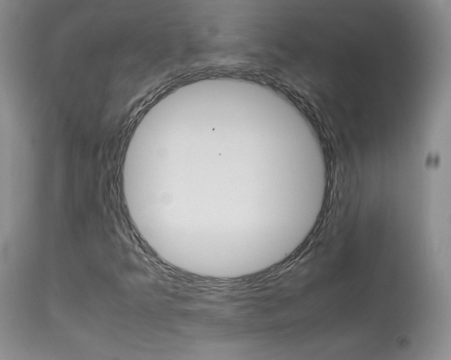 X0000113951349200909250953