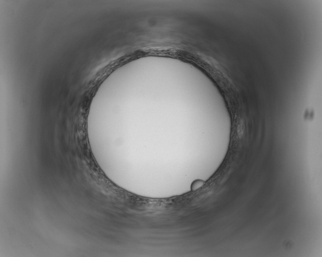 X0000113951350200909250953