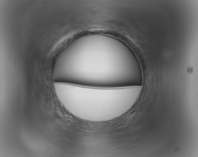 X0000113951351200909250953
