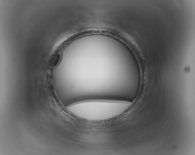 X0000113951352200909250953