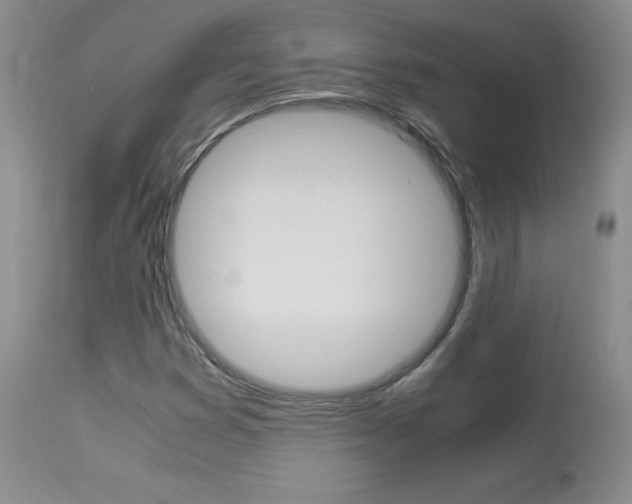 X0000113951353200909250953