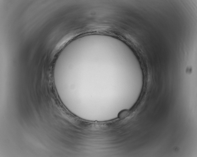 X0000113951354200909250953