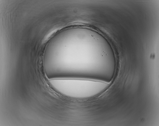 X0000113951355200909250953