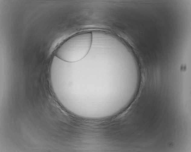 X0000113951357200909250953