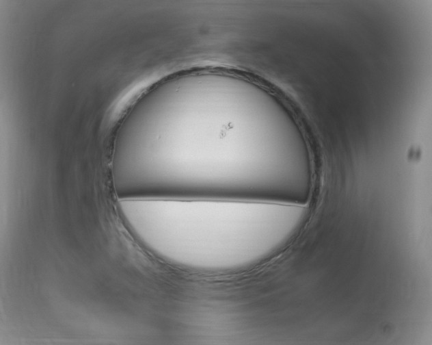 X0000113951359200909250953