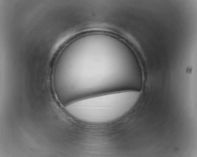X0000113951360200909250953