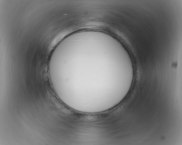 X0000113951362200909250953