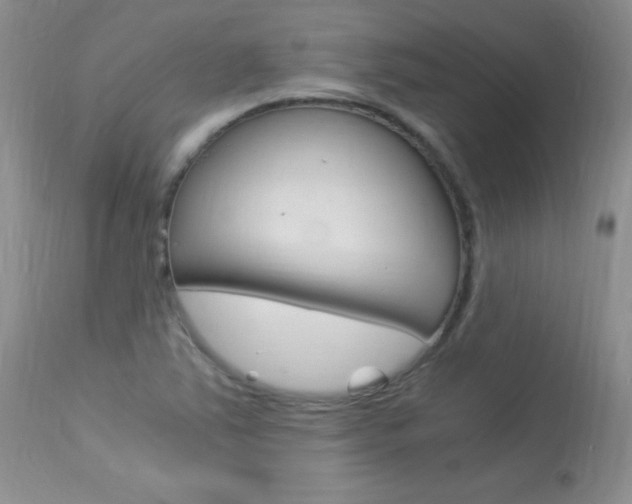 X0000113951363200909250953
