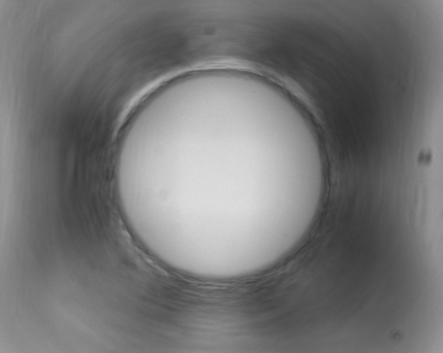 X0000113951364200909250953