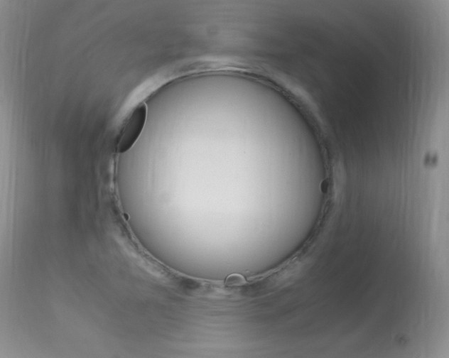 X0000113951365200909250953