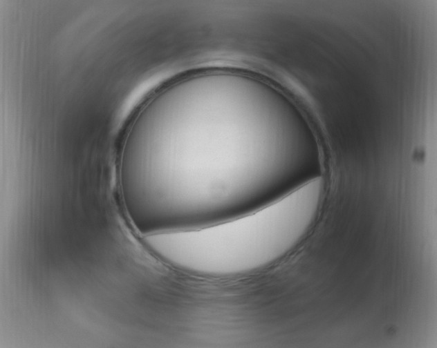 X0000113951368200909250953