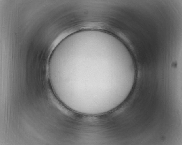 X0000113951370200909250953
