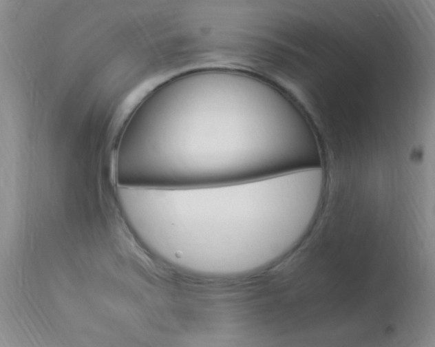 X0000113951371200909250953