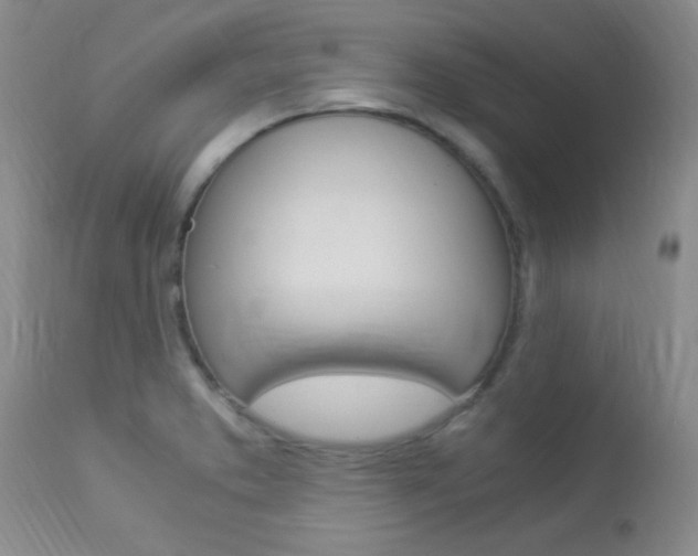 X0000113951373200909250953