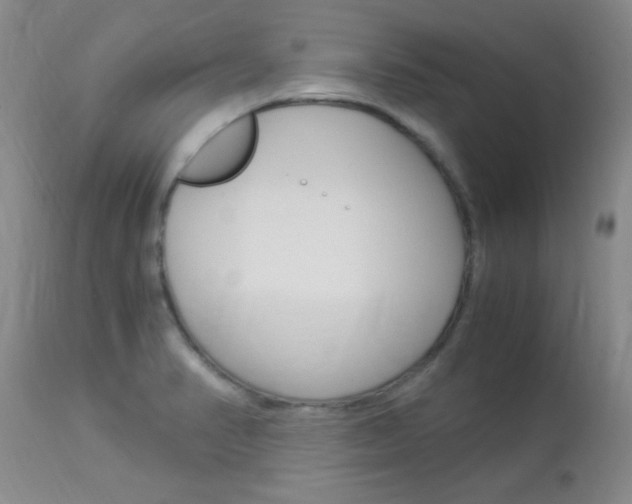 X0000113951374200909250953