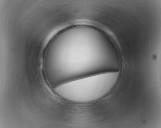X0000113951376200909250953