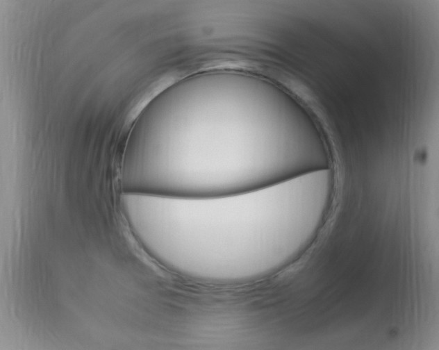 X0000113951377200909250953