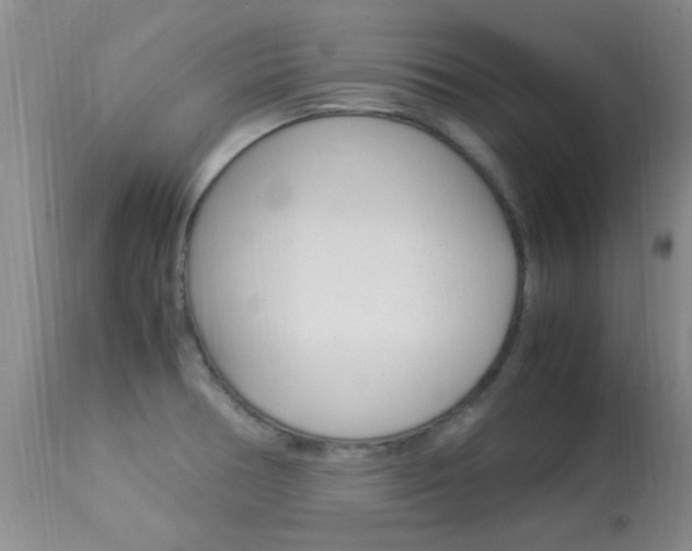 X0000113951378200909250953