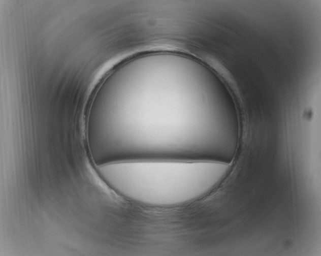 X0000113951380200909250953