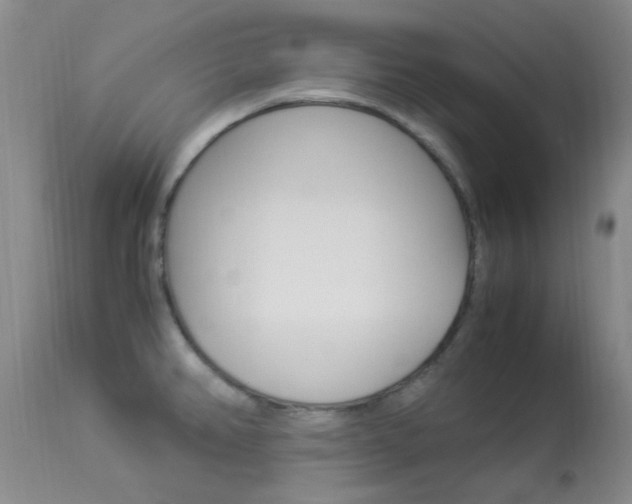 X0000113951382200909250953