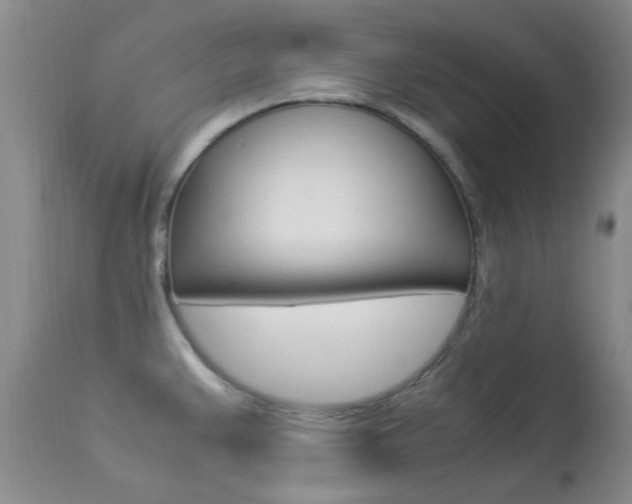 X0000113951383200909250953