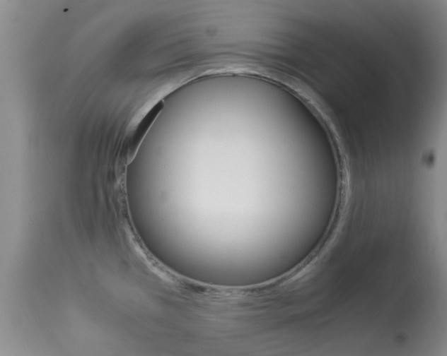 X0000113951385200909250953