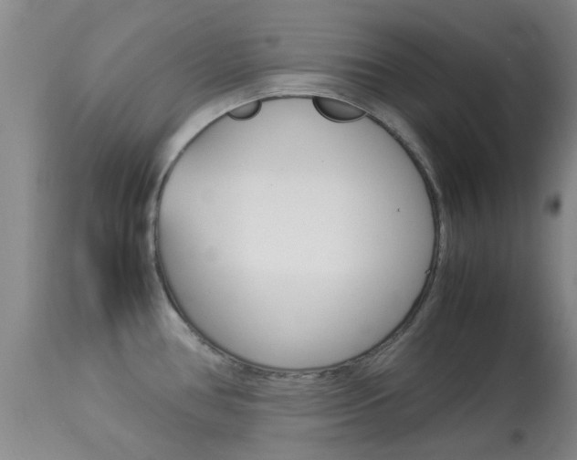 X0000113951386200909250953