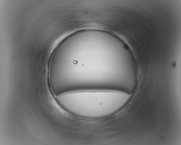 X0000113951387200909250952