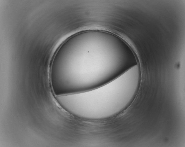 X0000113951388200909250952